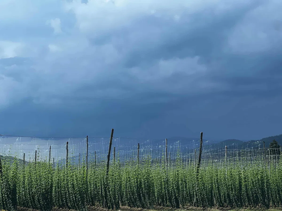 Vreme: Oblačno s plohami in nevihtami