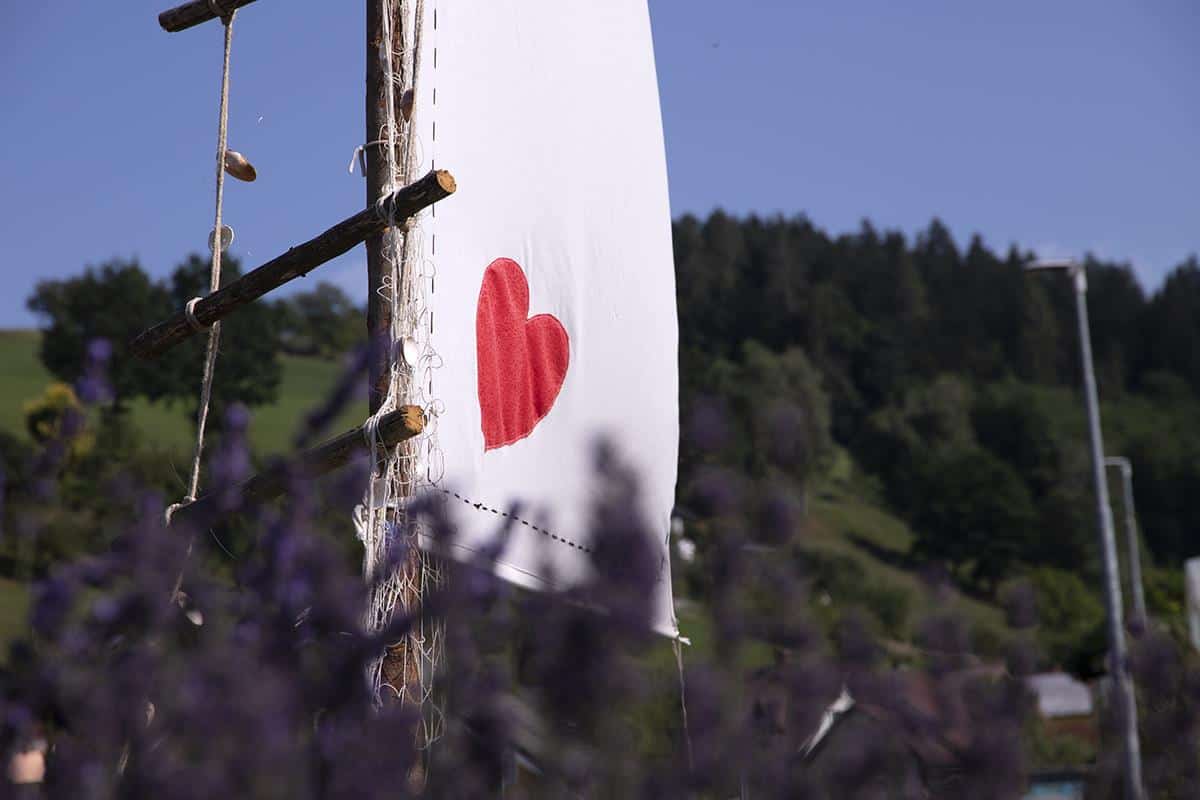 Brdinje ponovno krasi čudovita poletna kreacija