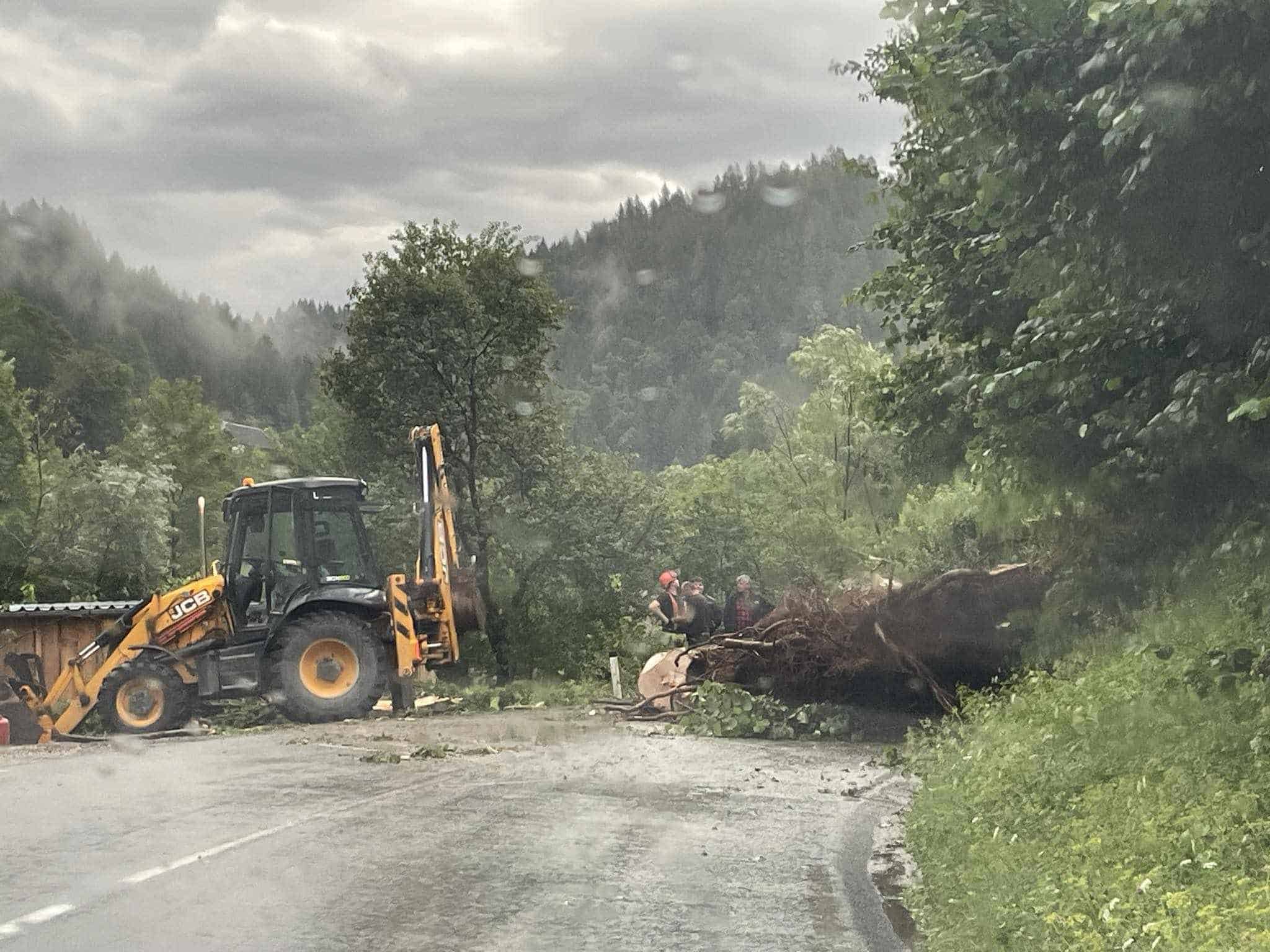 Na Koroškem znova nalivi s točo, veter podiral drevesa