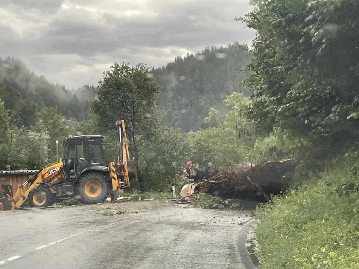 Na Koroškem znova nalivi s točo, veter podiral drevesa