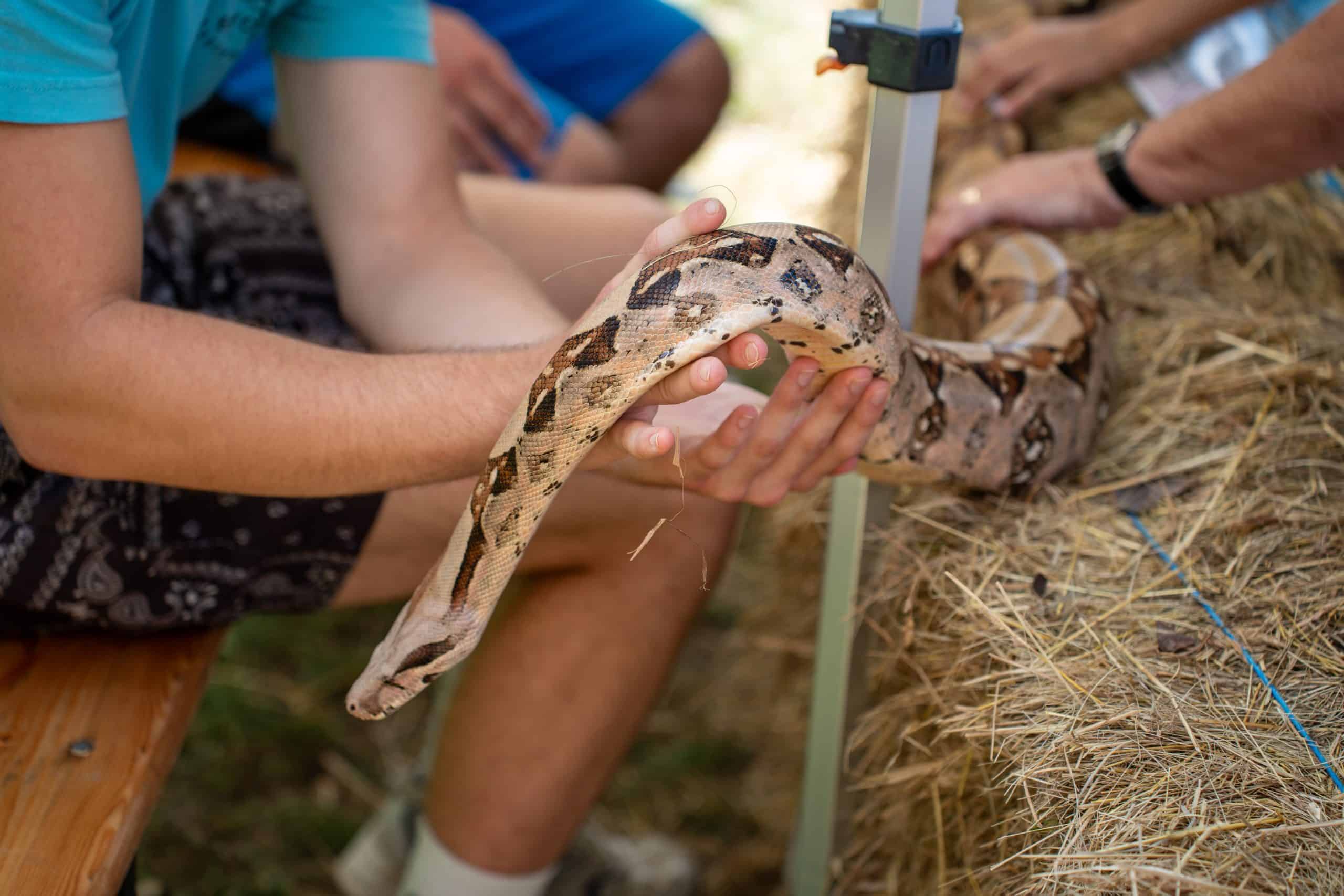 FOTO: Obiskali smo razstavo eksotičnih živali in poletnega cvetja v Mozirskem gaju