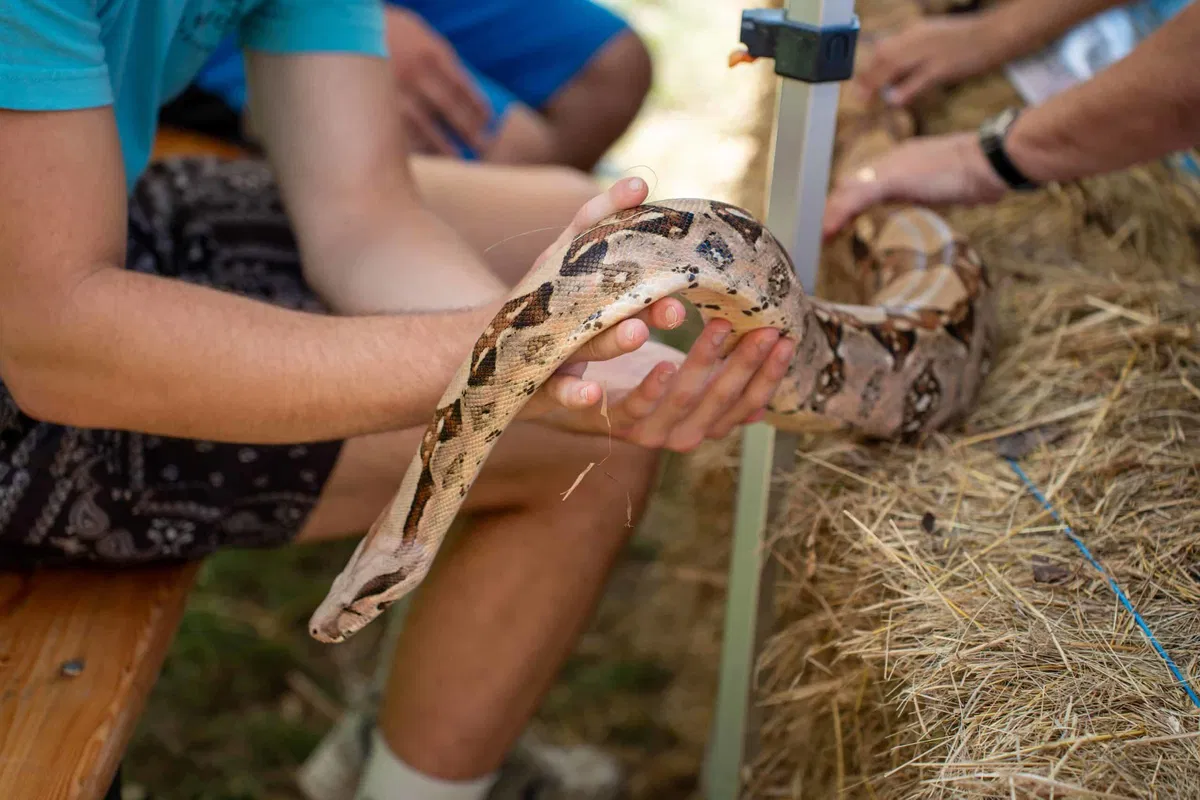 FOTO: Obiskali smo razstavo eksotičnih živali in poletnega cvetja v Mozirskem gaju