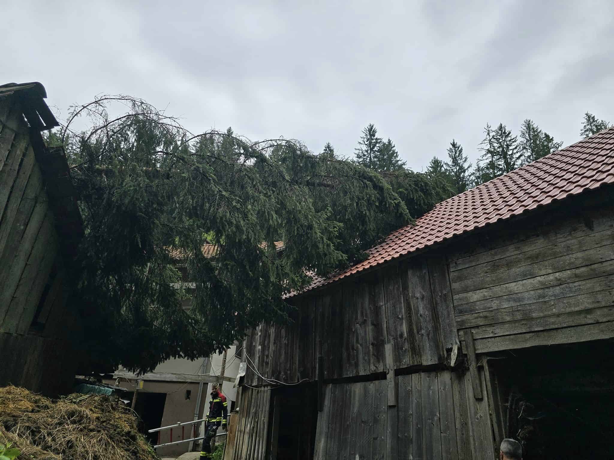 FOTO: Posredovanje gasilcev v Črni, na Prevaljah, v Podgorju, v Slovenj Gradcu in Vuzenici