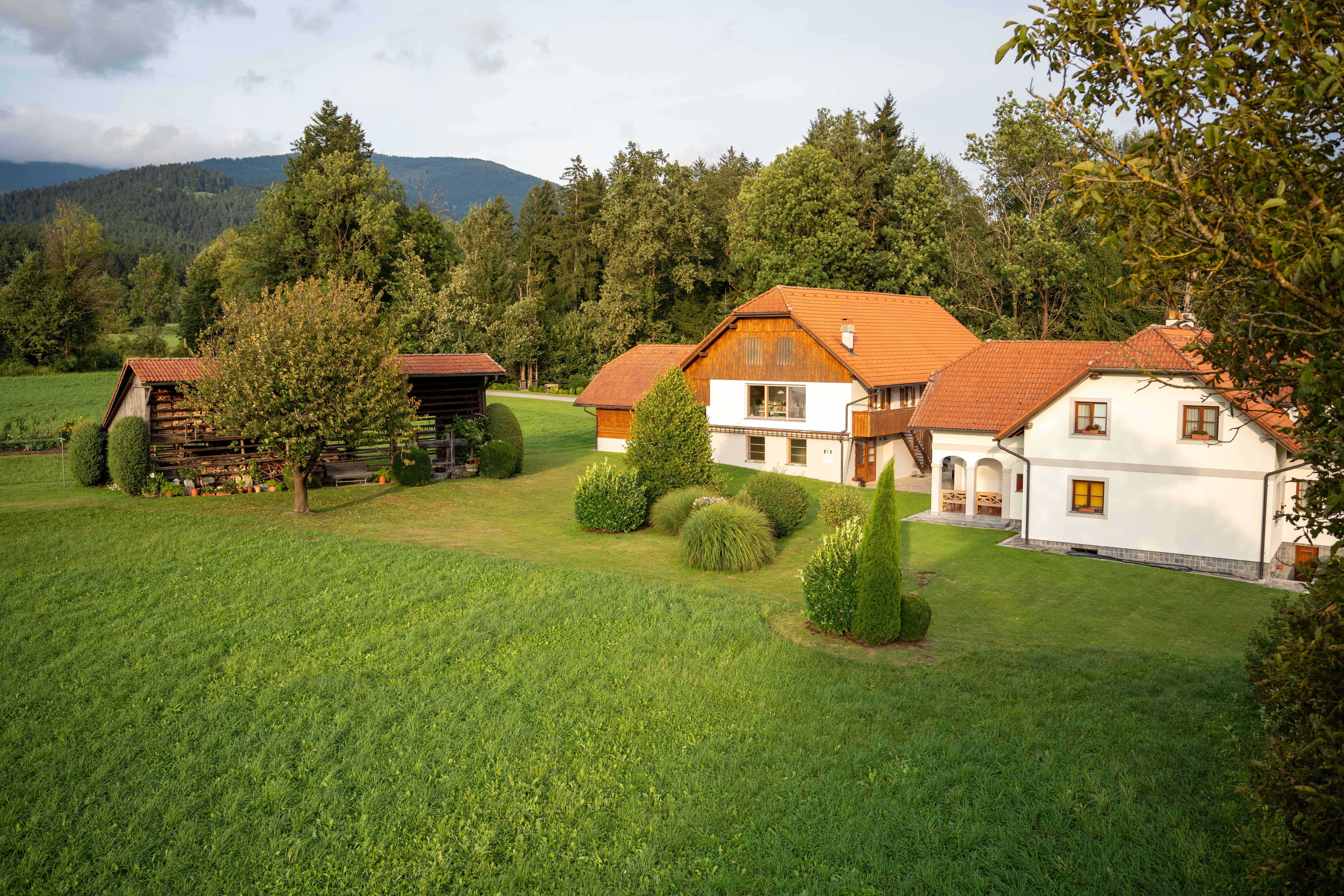 V Dovžah kmetija mnogih zakladov (FOTO)