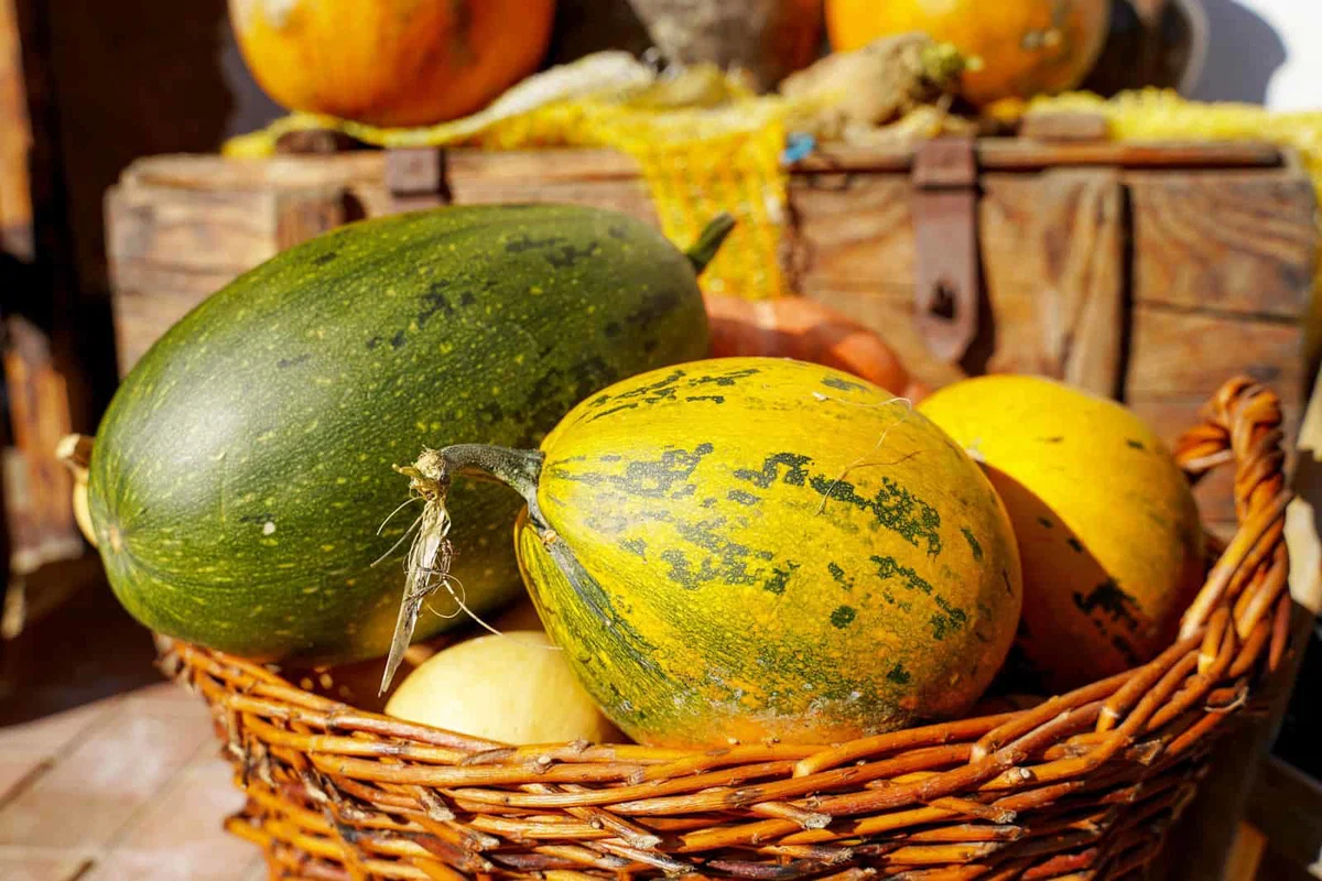 Obvestilo: spravilo pridelkov in jesenska dela na vrtovih Pigla