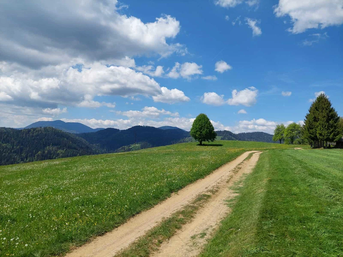 Nedeljsko dopoldne bo še jasno, prihajajo padavine