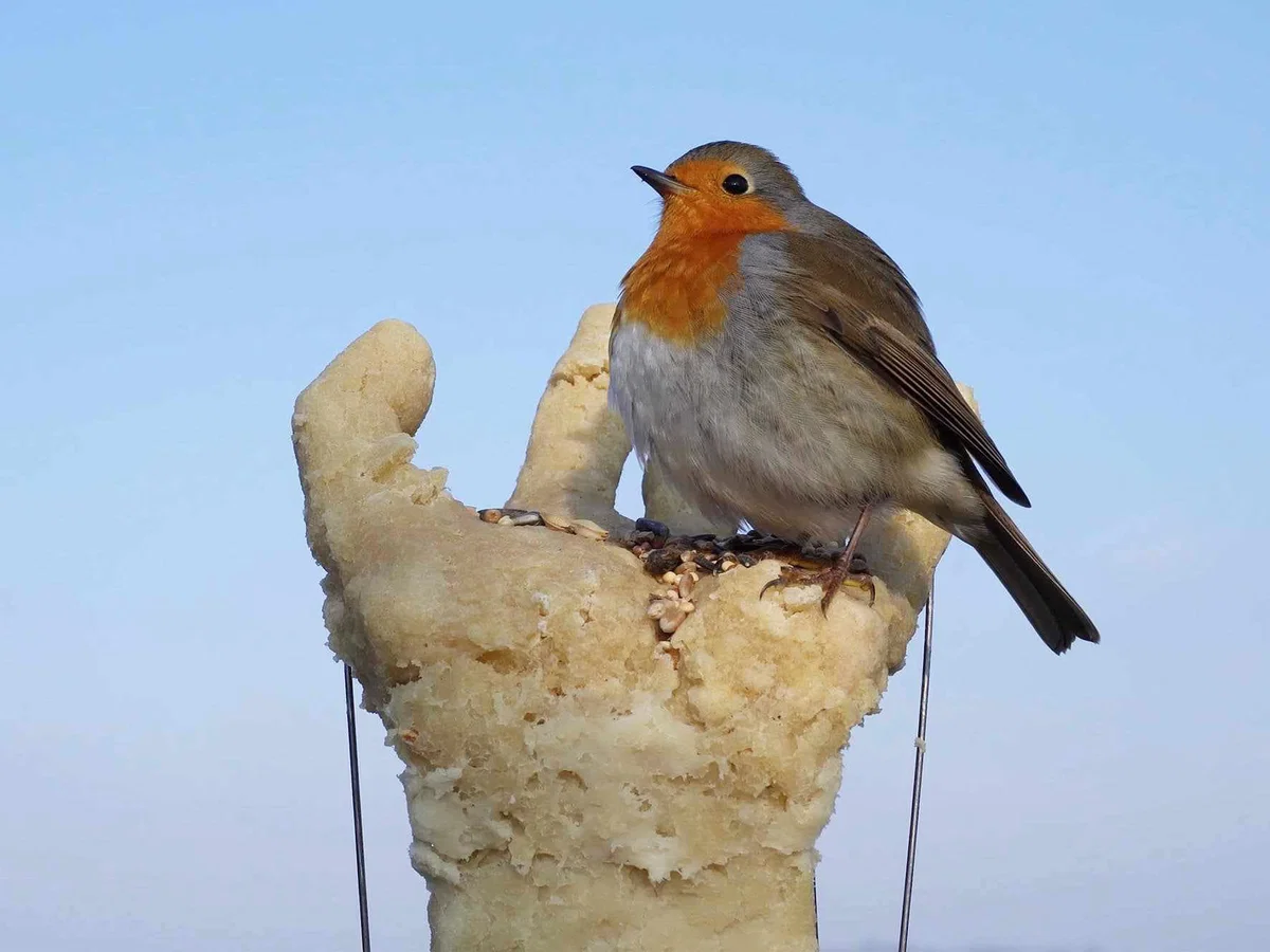 V Galeriji raum AU bo na ogled razstava Michaela Heindla: Predaleč je šlo