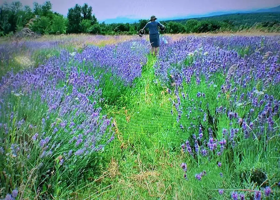 Naslednji ponedeljek: Pogovorno druženje ob razstavi Nazaj v mesto in naprej k naravi