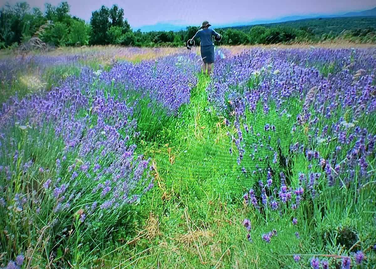 Naslednji ponedeljek: Pogovorno druženje ob razstavi Nazaj v mesto in naprej k naravi