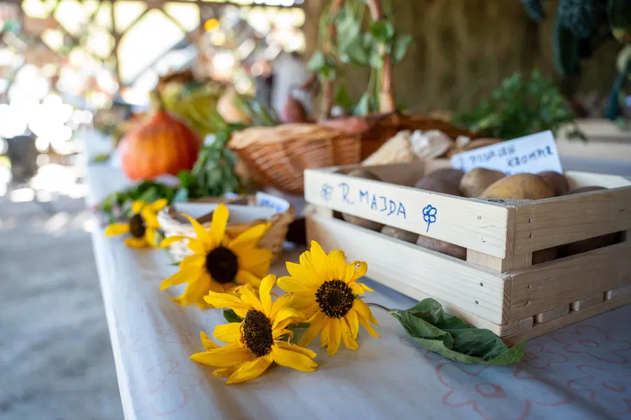 Tradicionalni Pozdrav jeseni bo v Mislinji znova poskrbel za uvod v hladnejši letni čas