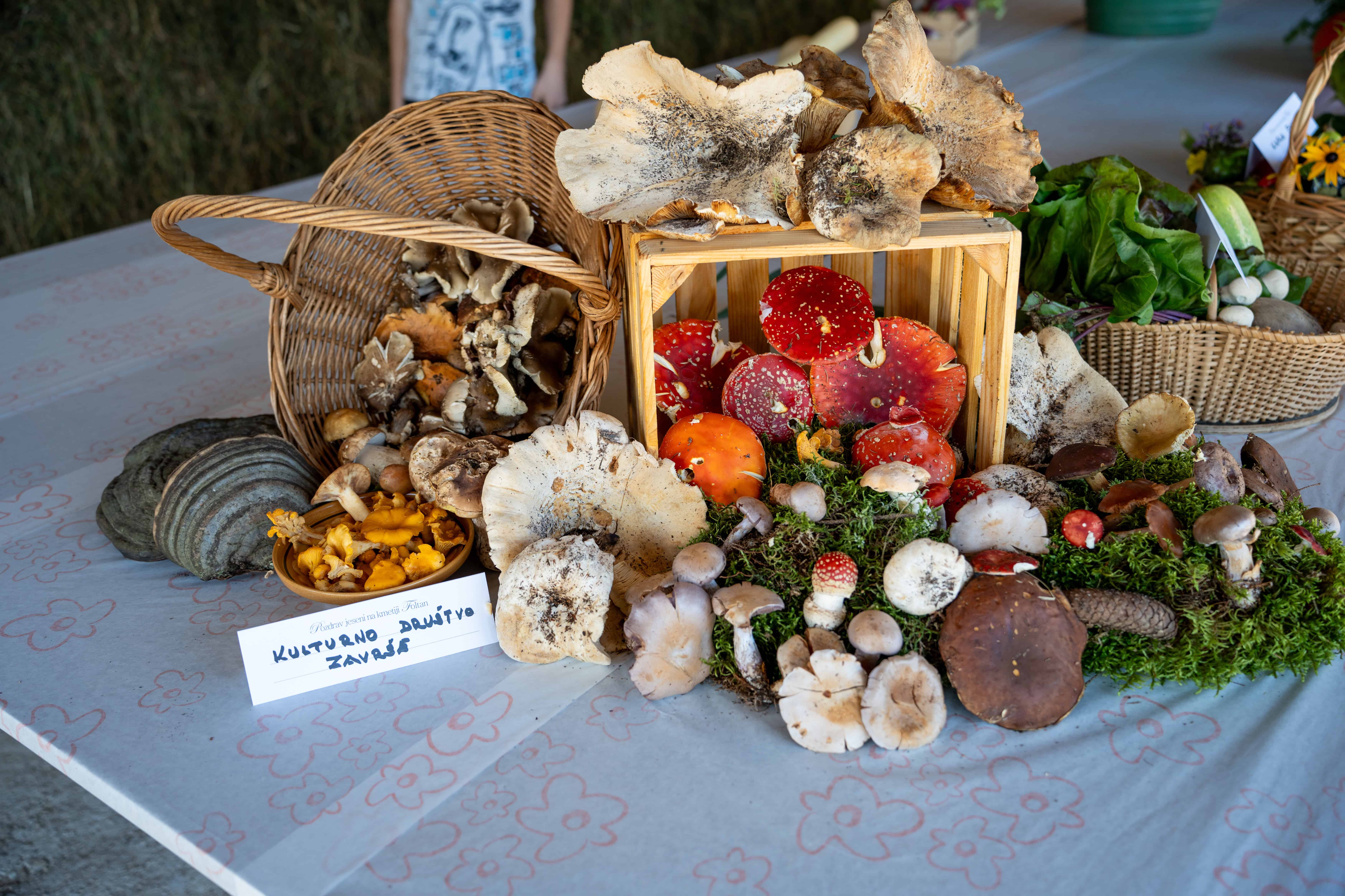 FOTO: Pozdrav jeseni na kmetiji Foltan: Praznik jesenskih dobrot in prijetnega druženja