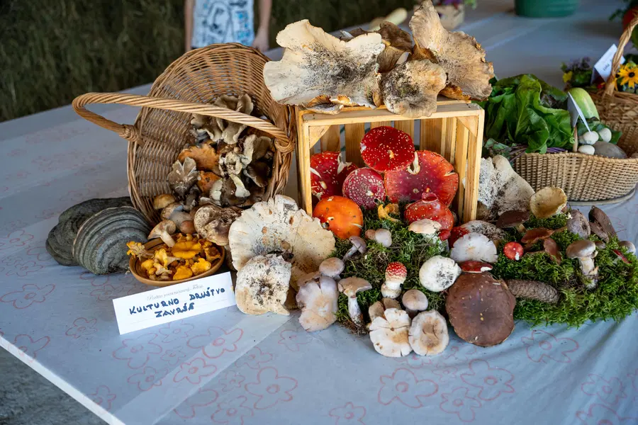 FOTO: Pozdrav jeseni na kmetiji Foltan: Praznik jesenskih dobrot in prijetnega druženja