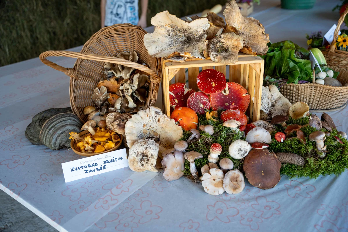 FOTO: Pozdrav jeseni na kmetiji Foltan: Praznik jesenskih dobrot in prijetnega druženja