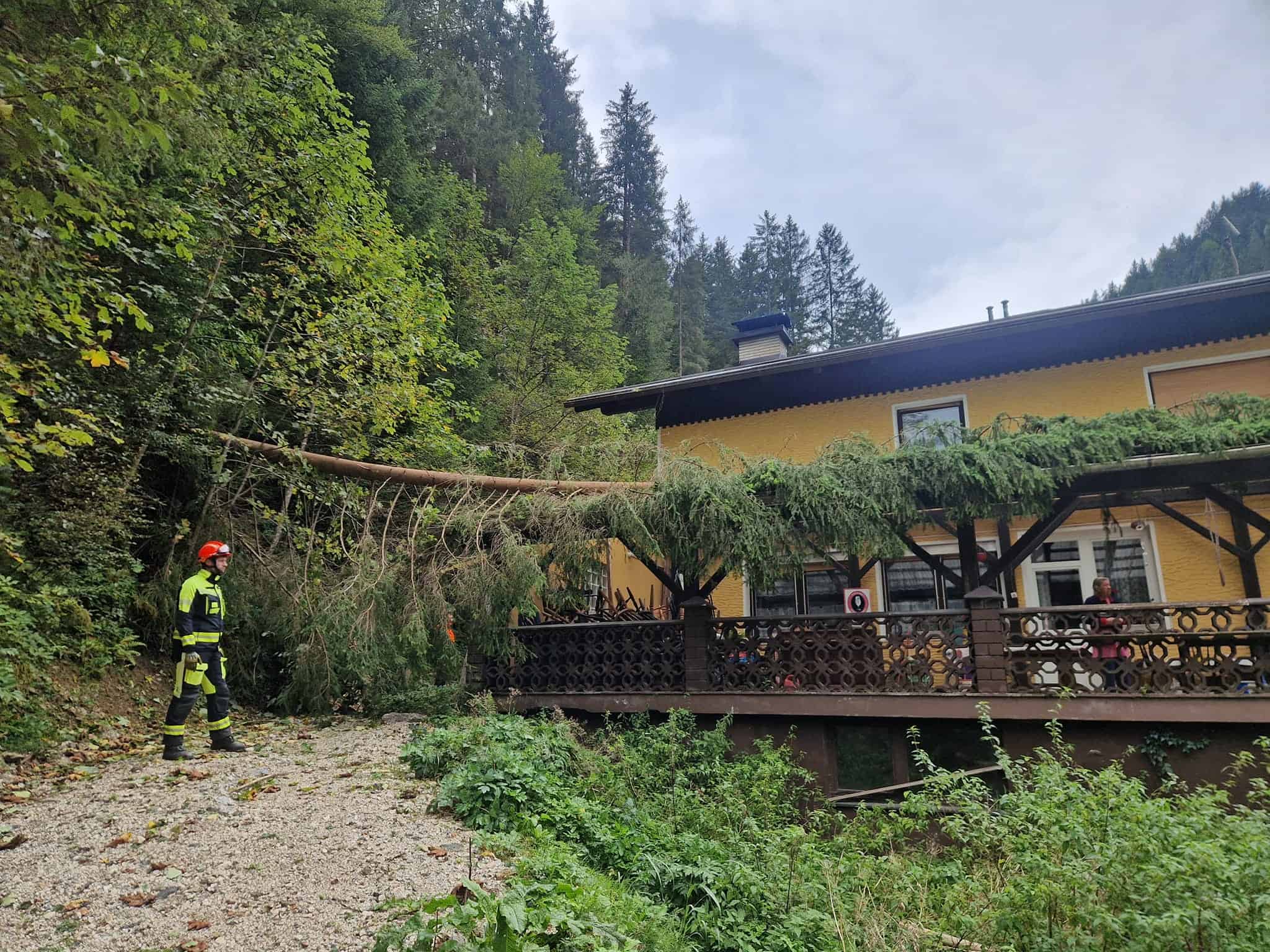 Gasilci Črne posredovali pri delovni nesreči gozdarja in pri odstranitvi podrtega drevesa (FOTO)