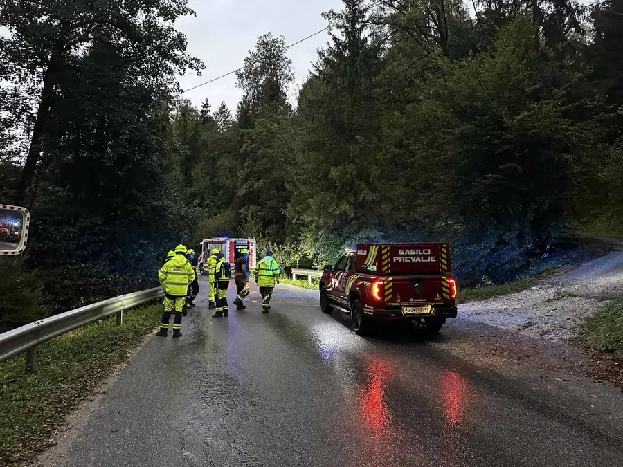 Na Lešah posredovali gasilci zaradi podrtega drevesa