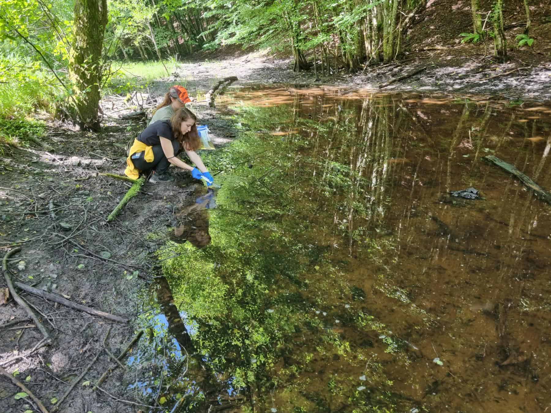 Modra odločitev za zeleno prihodnost