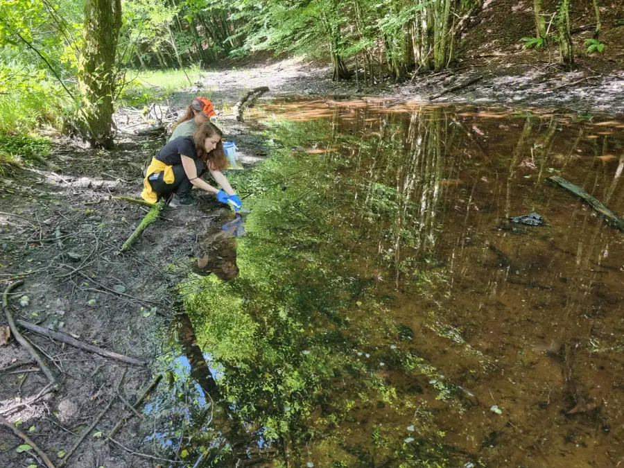 Modra odločitev za zeleno prihodnost