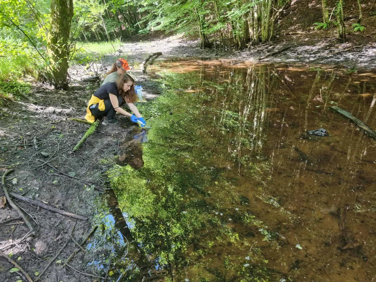 Modra odločitev za zeleno prihodnost