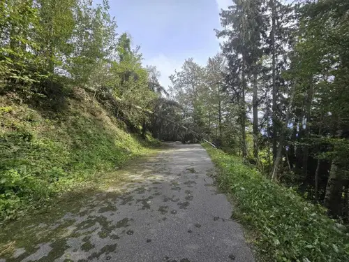 Na območju Podgorja gasilci posredovali na 17 lokacijah