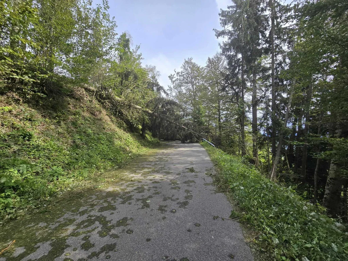 Na območju Podgorja gasilci posredovali na 17 lokacijah
