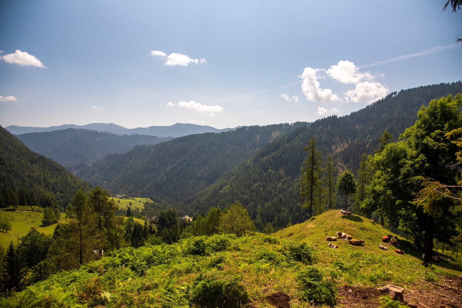 FOTO: Zaključena obnova planinske poti od Jame Topla do Male Pece