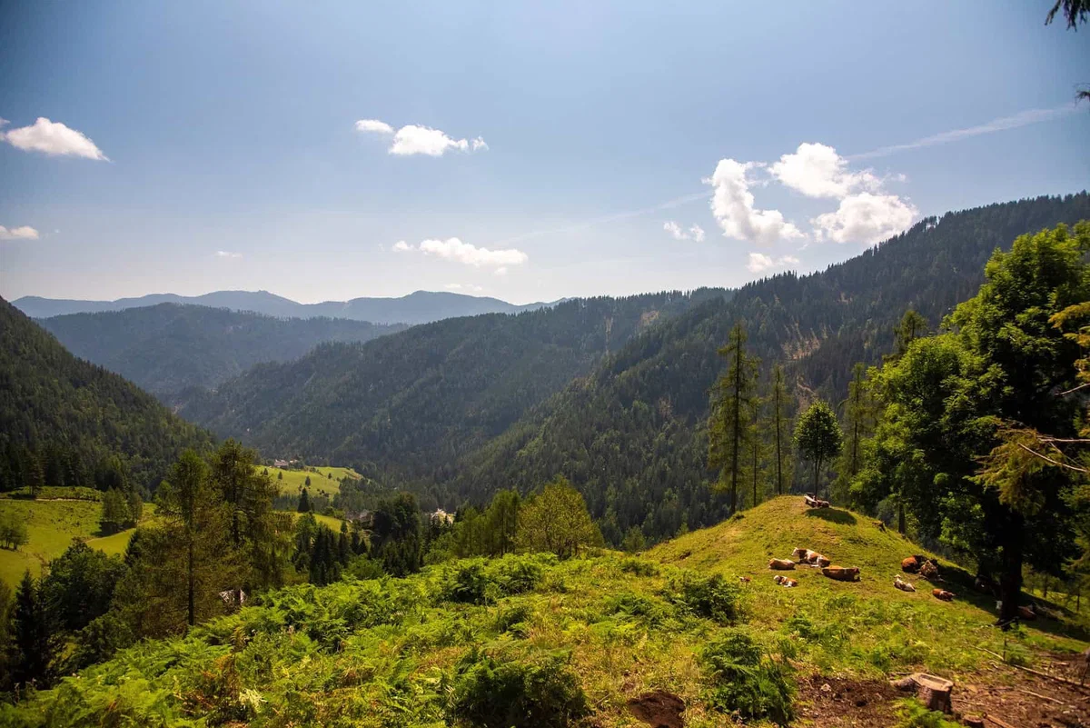 FOTO: Zaključena obnova planinske poti od Jame Topla do Male Pece