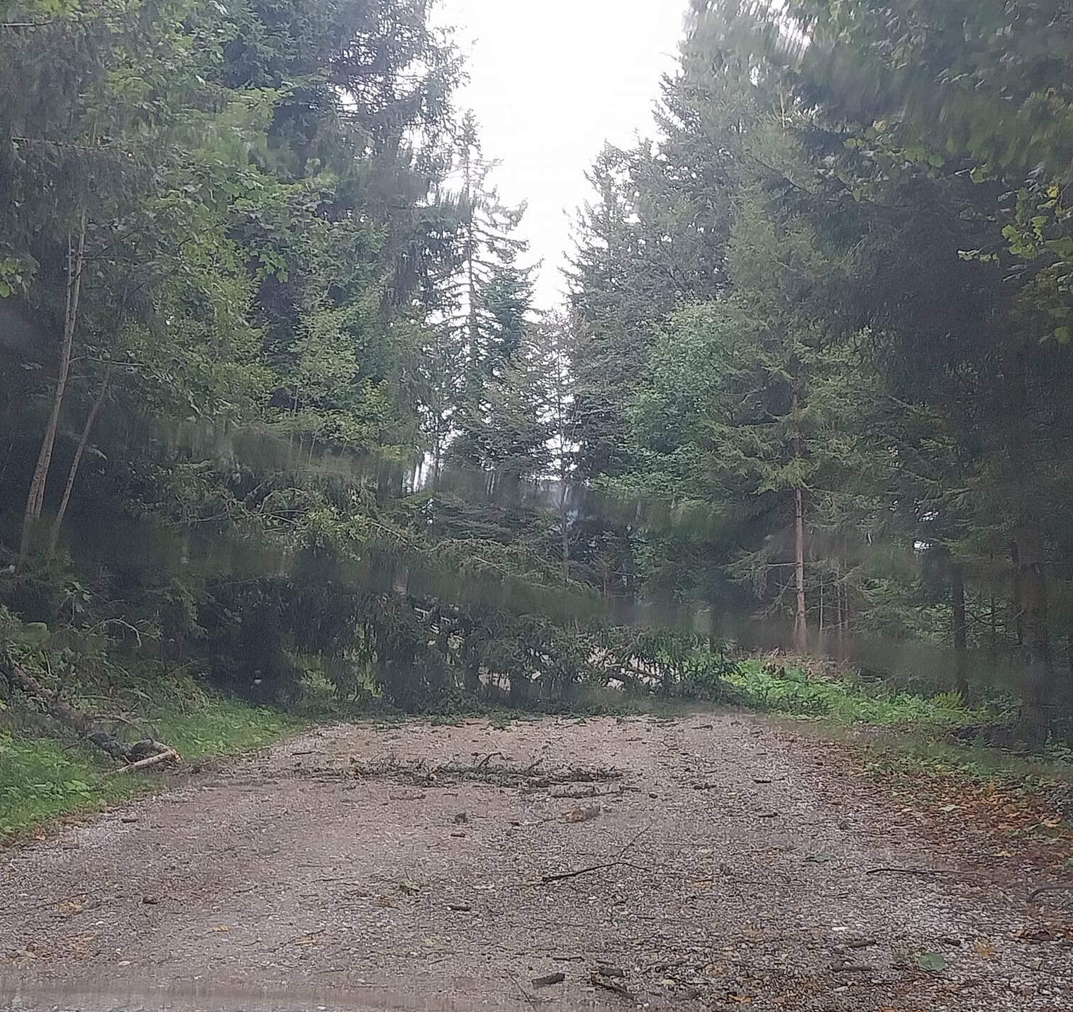 Na Koroškem odstranjevali podrta drevesa, zaprti cesti Mivc - šola Razbor ter Sleme - Črna na Koroškem