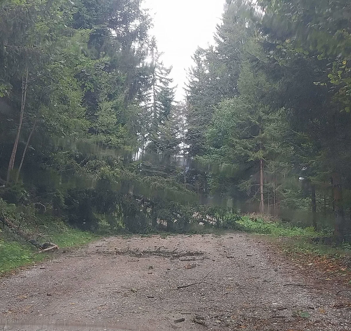 Na Koroškem odstranjevali podrta drevesa, zaprti cesti Mivc - šola Razbor ter Sleme - Črna na Koroškem