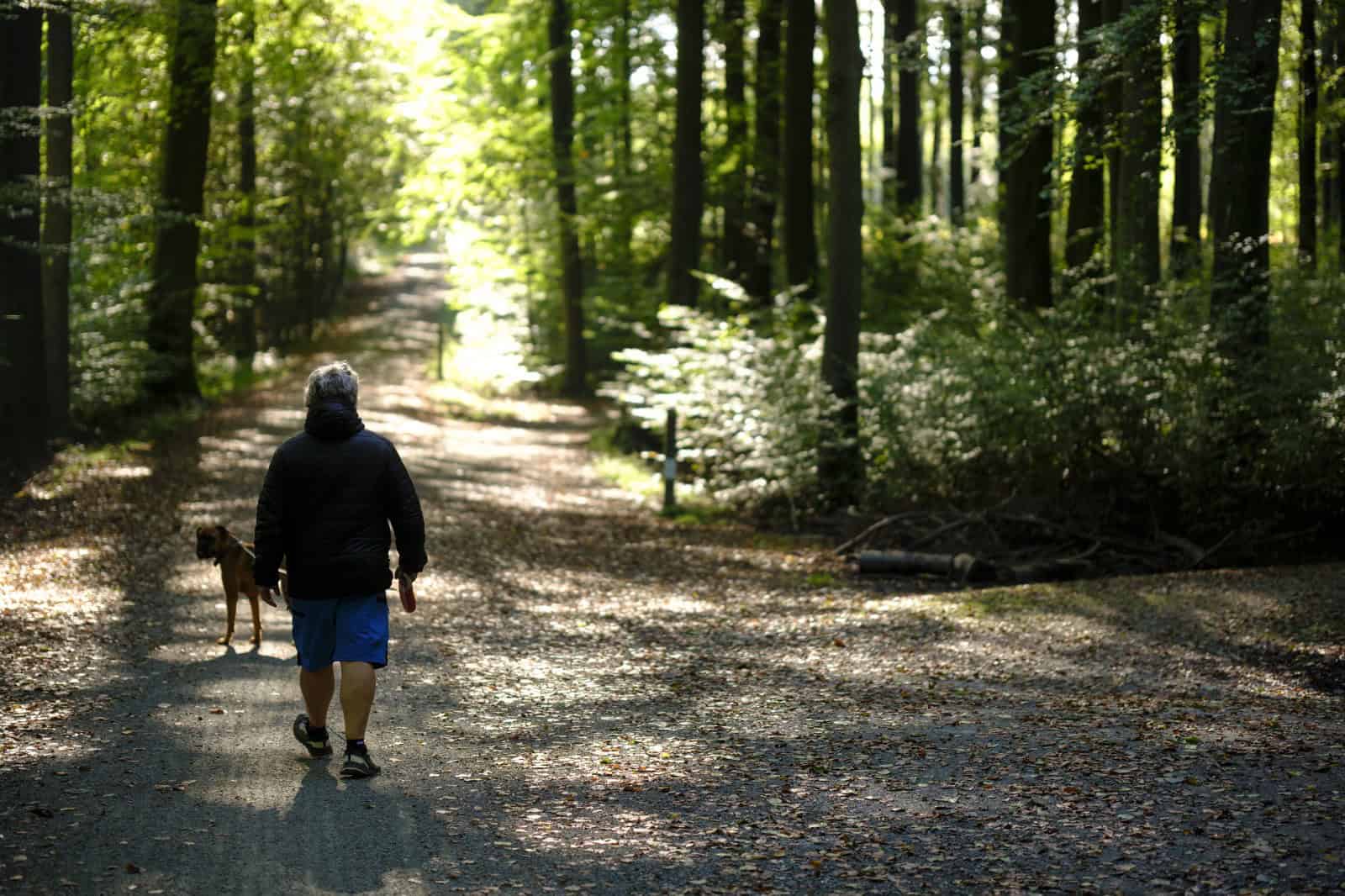 Ob svetovnem dnevu hoje NIJZ priporoča gibanje v naravi