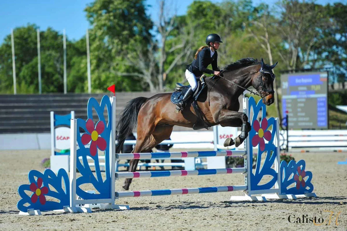 Konjeniški klub Cindi: vaša vrata v svet konjeništva in jahanja