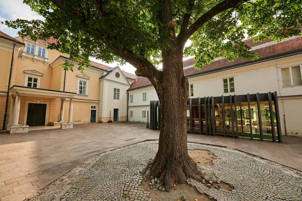 Koroška osrednja knjižnica v modernizacijo