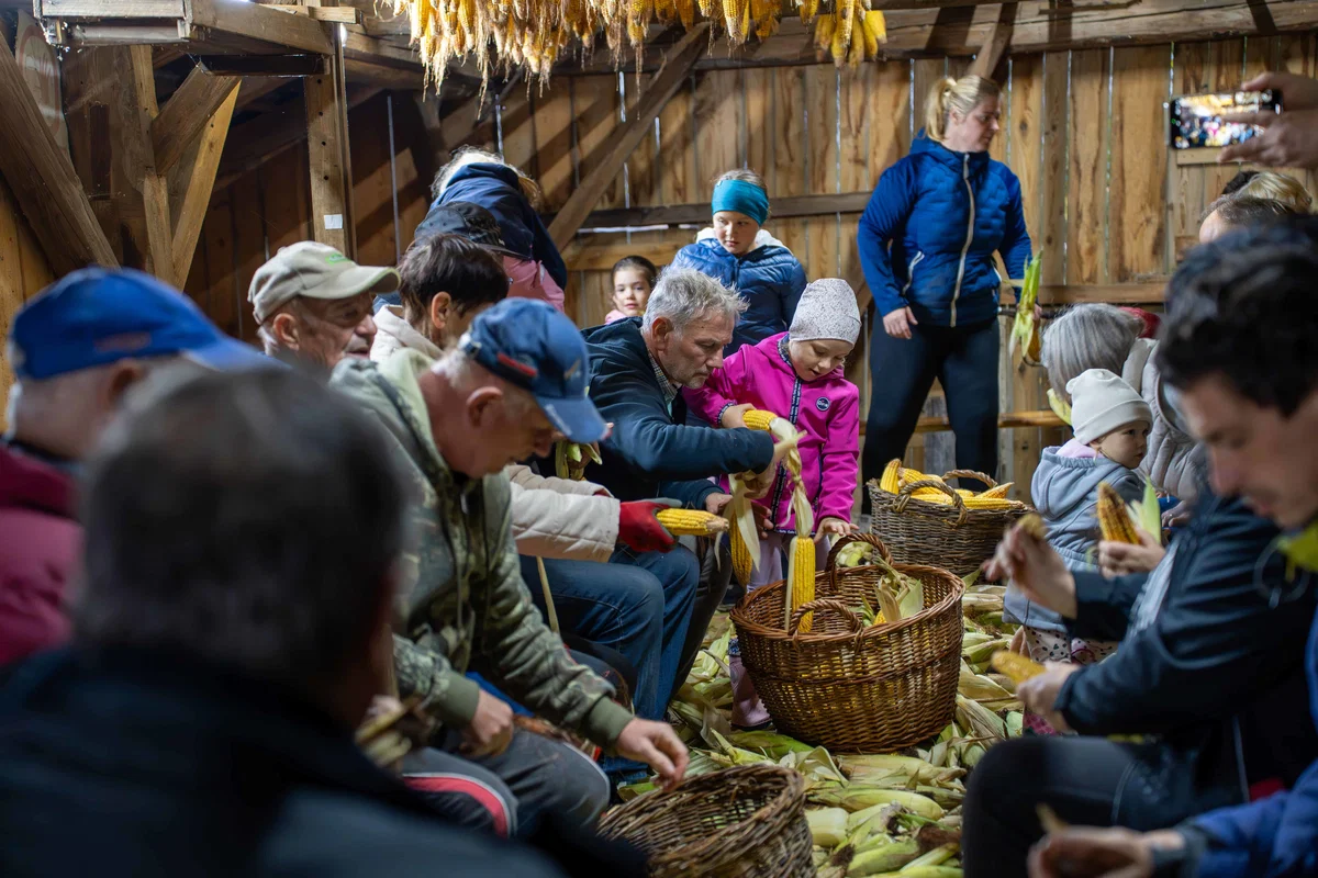 FOTO IN VIDEO: Kožuhanje so v Tomaški vasi spravili pod streho, streho Herčeve žage