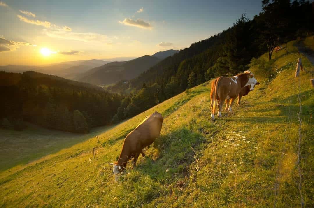 Pred nami je vremensko jasna nedelja