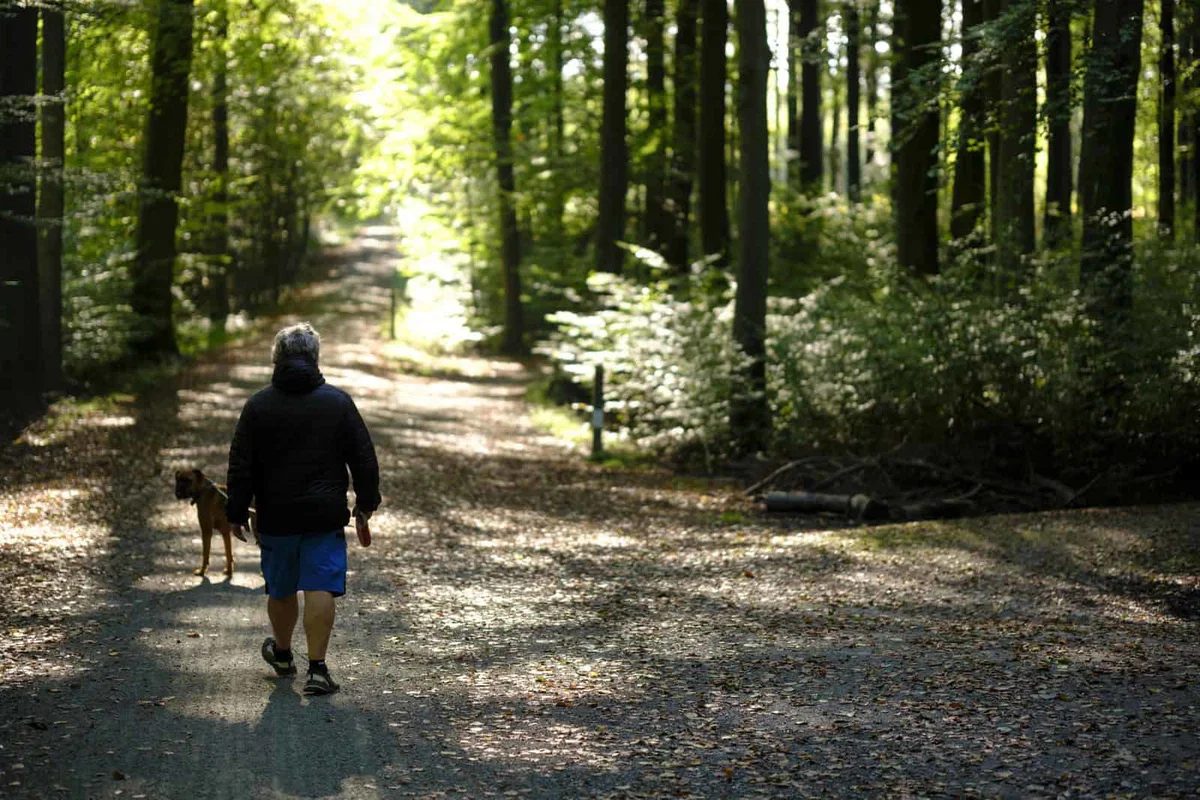 Tudi nekaj slovenskih drevesnih vrst na rdečem seznamu ogroženih vrst