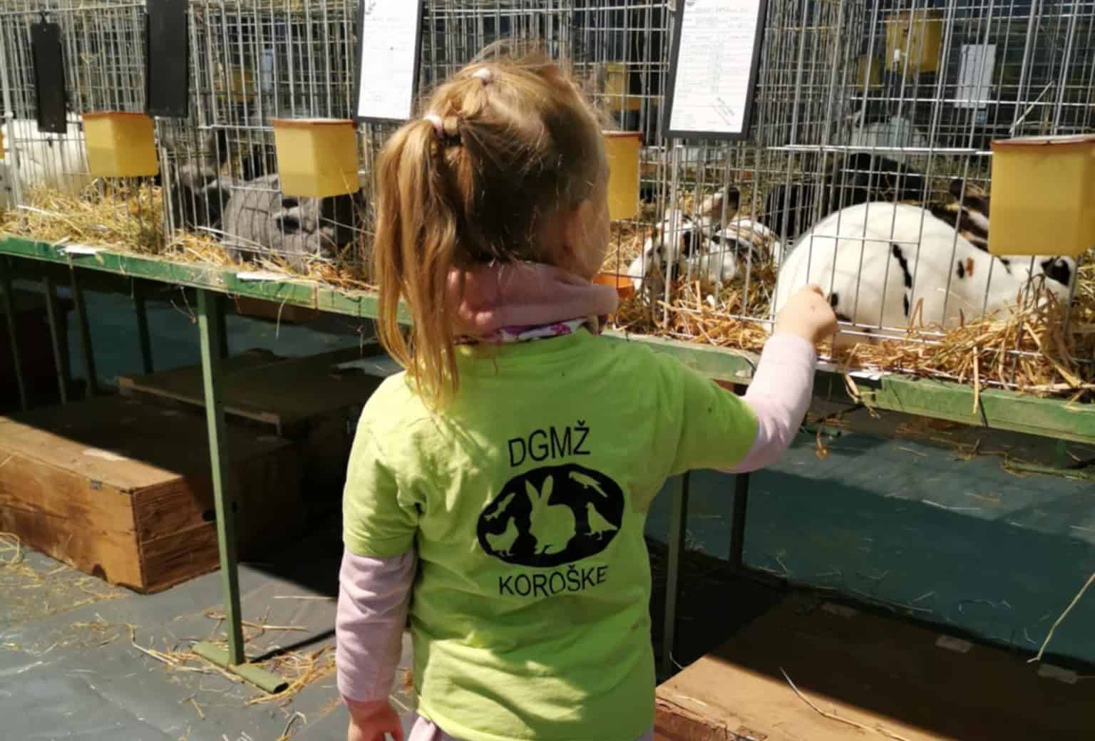 FOTO: Društvo gojiteljev malih živali na Koroškem gostilo 30. razstavo malih živali