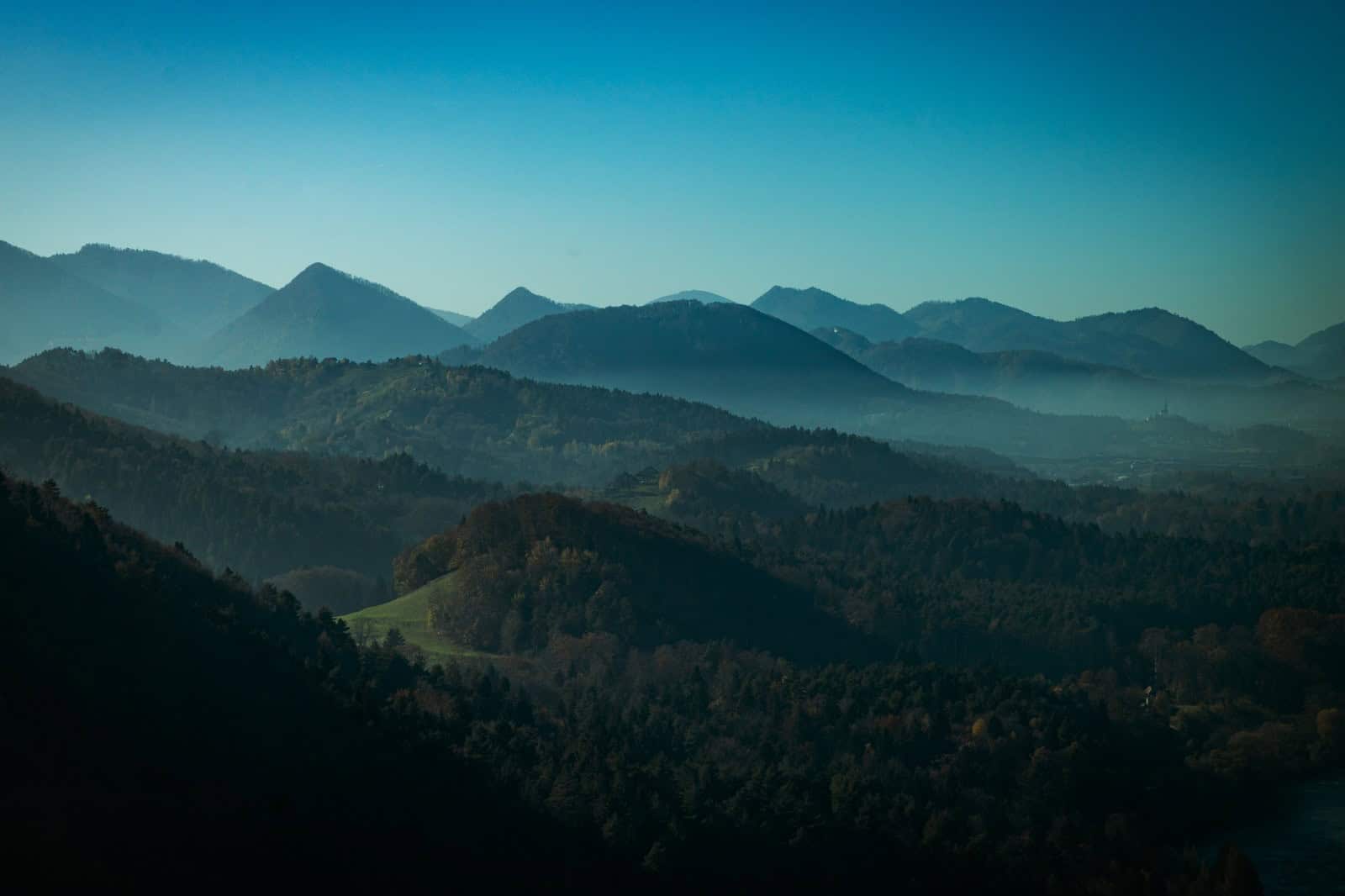 Pri Vuhredu v obnovo gozdov s pomočjo drona in zasaditvami