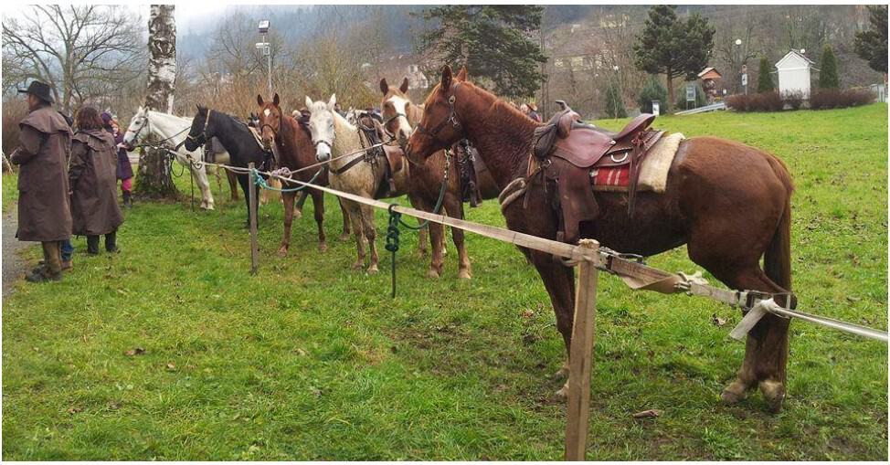 Na god svetega Štefana tudi na Koroškem tradicionalni blagoslovi konj ter soli