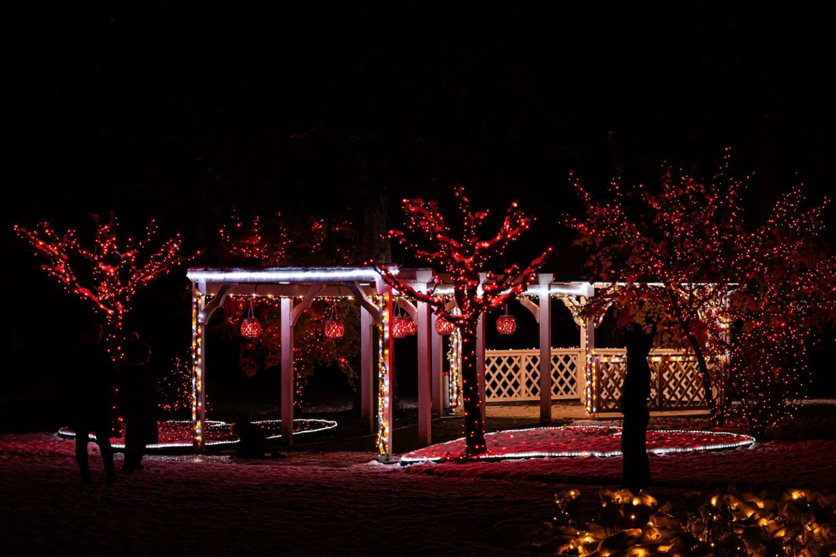 9. Božična bajka Slovenije v Mozirskem gaju odlično obiskana