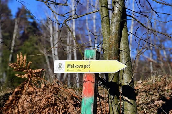 V soboto vabljeni na tradicionalni nočni pohod ob polni luni po Meškovi poti