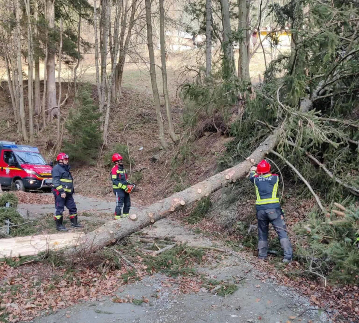 Veter na Koroškem povzroča nevšečnosti