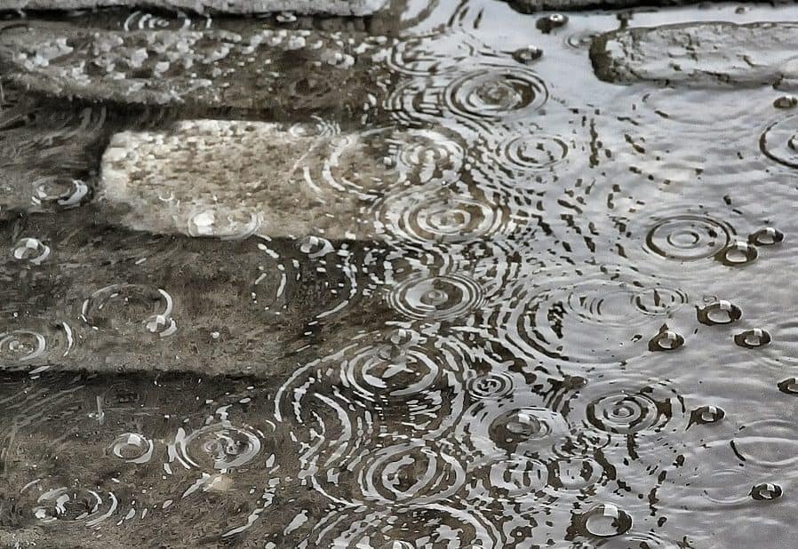 Večji del Slovenije bodo zajele padavine, meja sneženja se bo spuščala