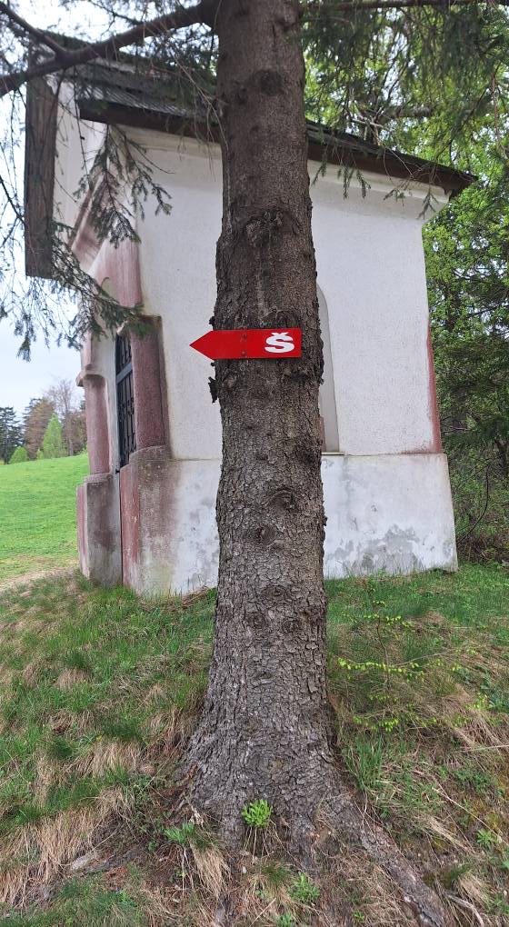 PD Slovenj Gradec vabi na pohod po Šisernikovi poti