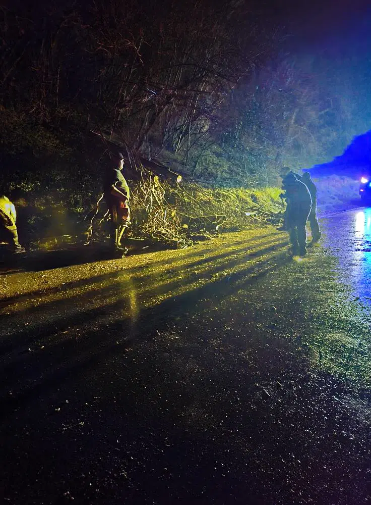 Ob padlem drevesu na cesto posredovalo PGD Sele-Vrhe