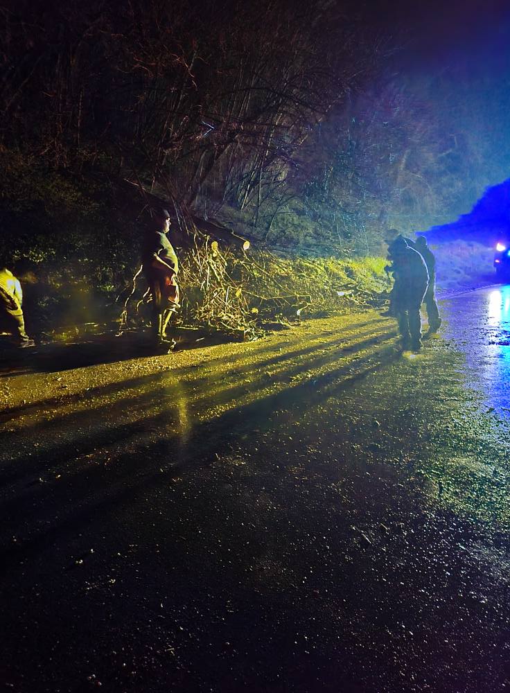 Ob padlem drevesu na cesto posredovalo PGD Sele-Vrhe