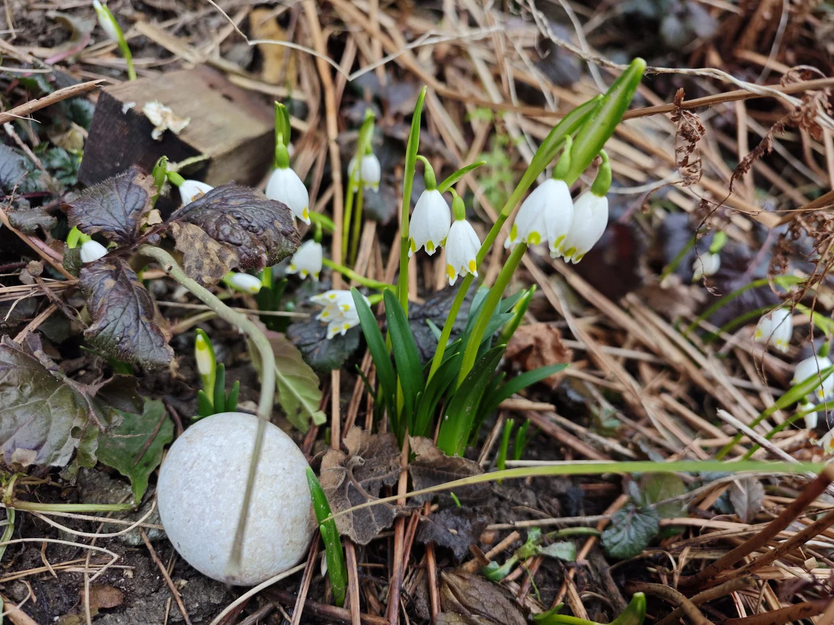 Vreme: Čaka nas sončno in toplejše vreme