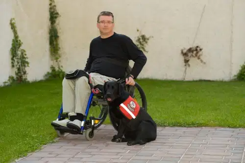 Društvo YHD išče okrepitve v osebni asistenci