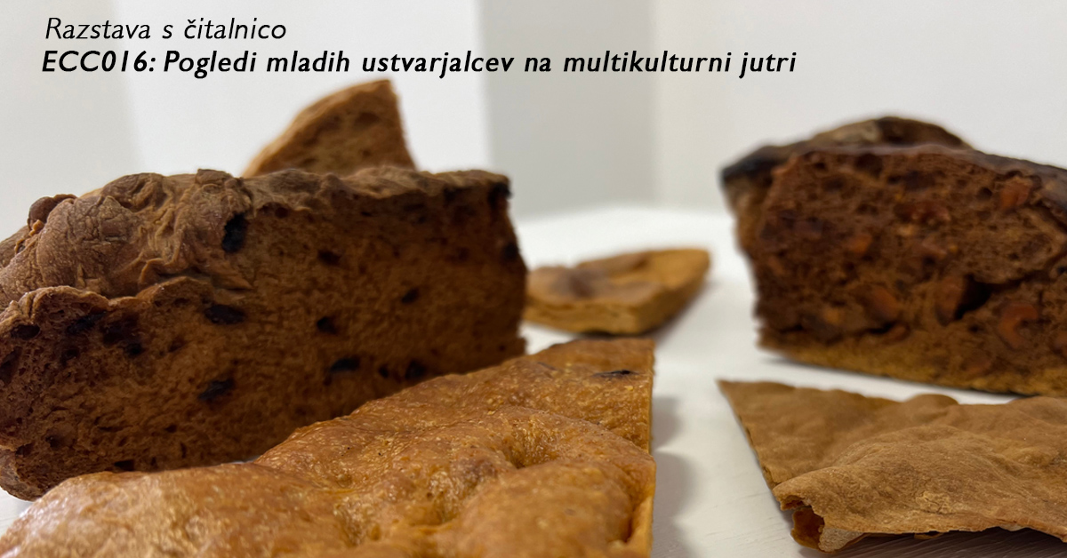 Razstava "ECC016: Pogledi mladih ustvarjalcev na multikulturni jutri" v Galeriji raum AU