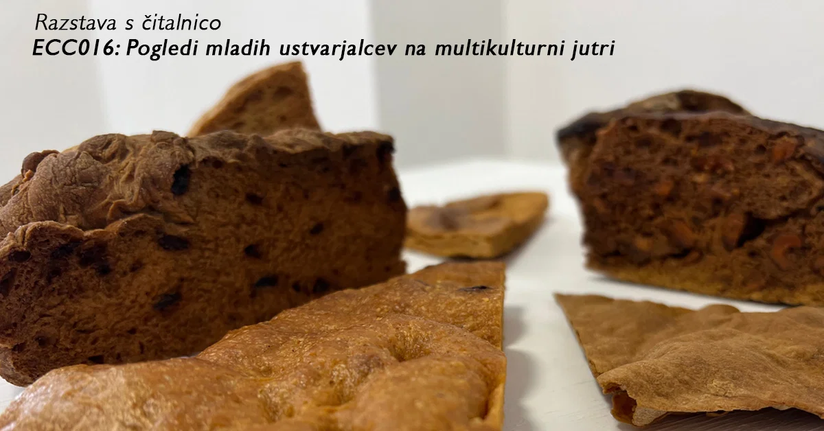 Razstava "ECC016: Pogledi mladih ustvarjalcev na multikulturni jutri" v Galeriji raum AU