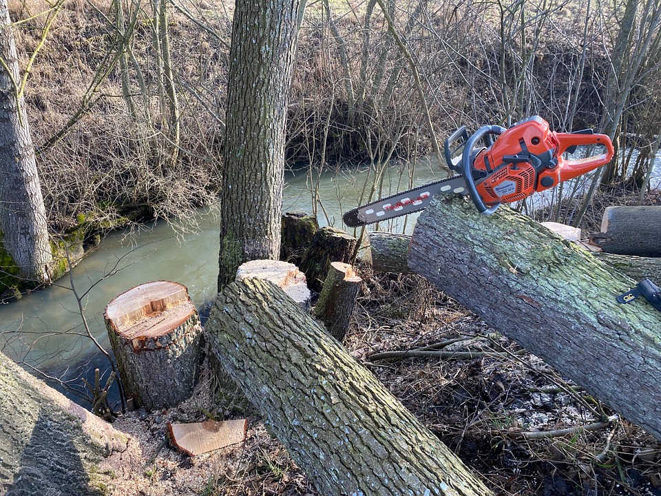Pozor: Na območju Košenjaka bo potekala sečnja lesa, prosijo za upoštevanje varnostnih navodil