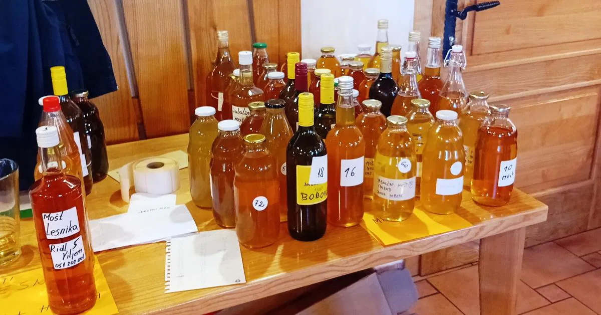 Ocenjevanje sadnih proizvodov: Najboljši mošt je Mališnikov iz Tolstega vrha pri Ravnah